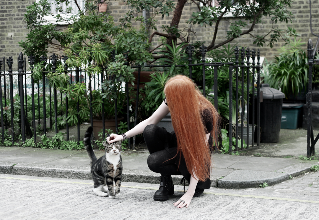 Olivia Emily wear Killstar 'Bad Habits' Dress, Asos socks, Unif Dedi Boots, and there's a cat!